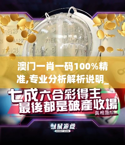 澳门一肖一码100%精准,专业分析解析说明_T10.196