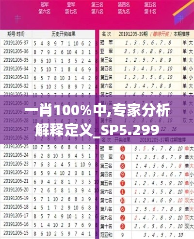 一肖100%中,专家分析解释定义_SP5.299