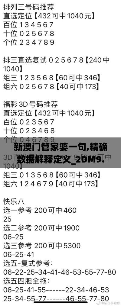 新澳门管家婆一句,精确数据解释定义_2DM9.208