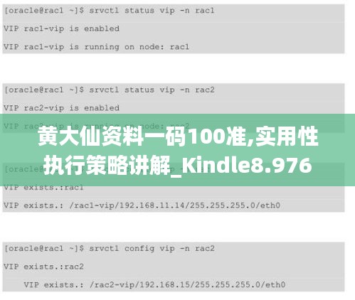 黄大仙资料一码100准,实用性执行策略讲解_Kindle8.976