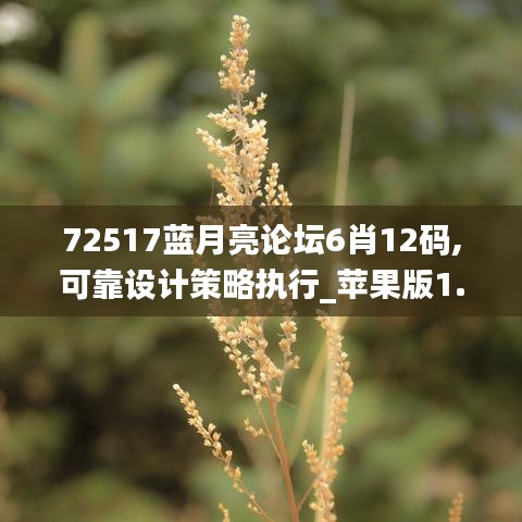 72517蓝月亮论坛6肖12码,可靠设计策略执行_苹果版1.870