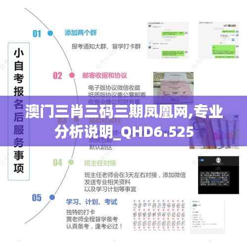 澳门三肖三码三期凤凰网,专业分析说明_QHD6.525