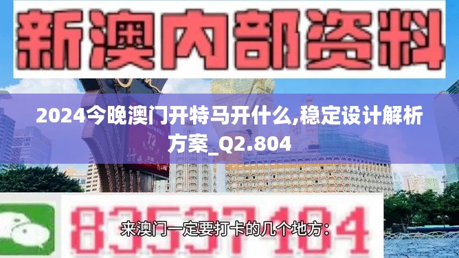 2024今晚澳门开特马开什么,稳定设计解析方案_Q2.804