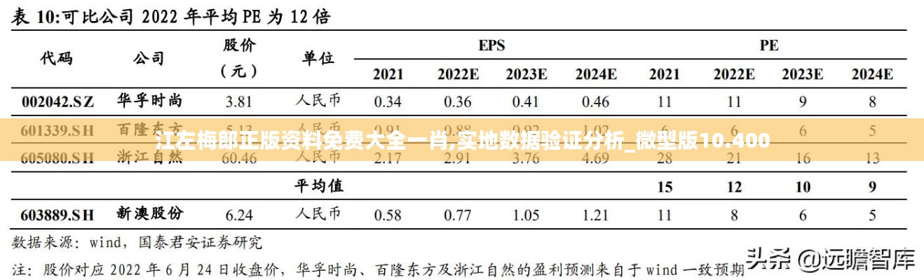 江左梅郎正版资料免费大全一肖,实地数据验证分析_微型版10.400