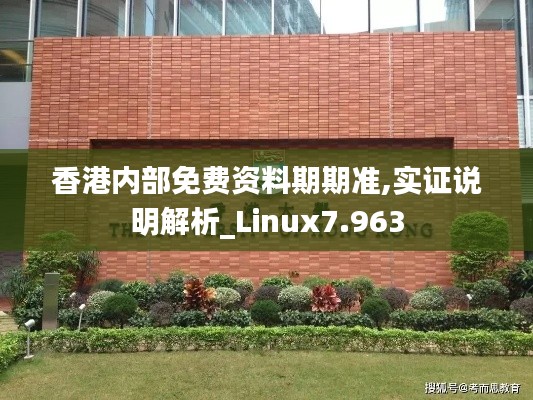 香港内部免费资料期期准,实证说明解析_Linux7.963