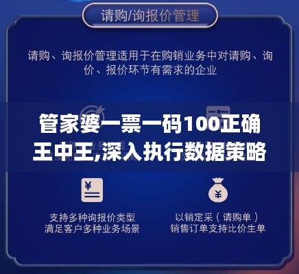 管家婆一票一码100正确王中王,深入执行数据策略_D版3.229