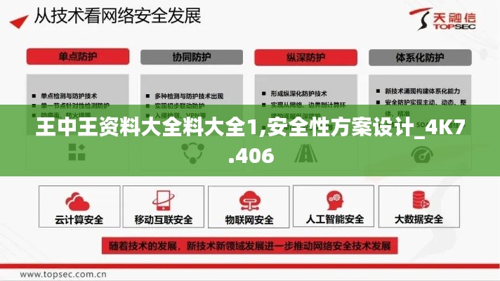 王中王资料大全料大全1,安全性方案设计_4K7.406