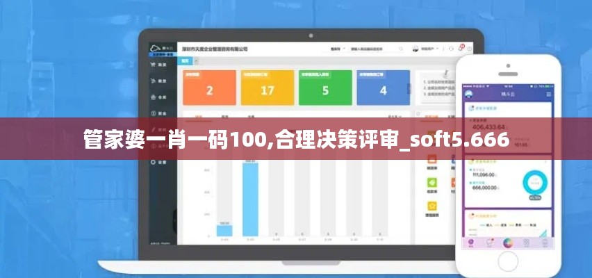 管家婆一肖一码100,合理决策评审_soft5.666