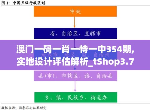 澳门一码一肖一恃一中354期,实地设计评估解析_tShop3.786