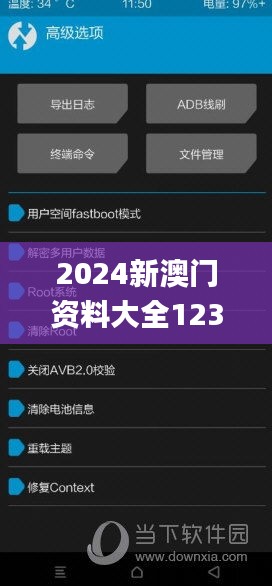 2024新澳门资料大全123期,全面数据应用分析_限定版9.166