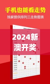 2024新澳开奖号码58彩论坛,实时解析说明_DP1.933