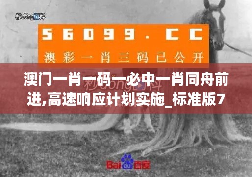 澳门一肖一码一必中一肖同舟前进,高速响应计划实施_标准版7.353