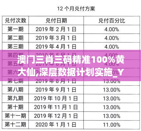 澳门三肖三码精准100%黄大仙,深层数据计划实施_YE版7.496