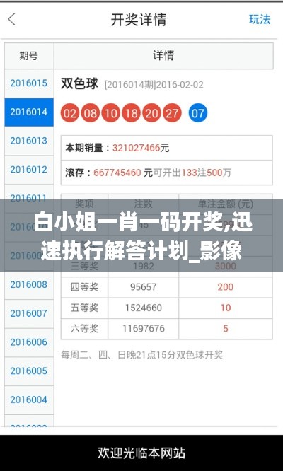 白小姐一肖一码开奖,迅速执行解答计划_影像版7.813