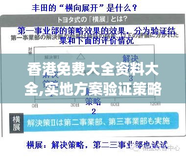 香港免费大全资料大全,实地方案验证策略_轻量版6.687