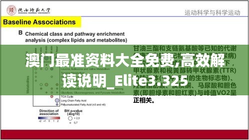 澳门最准资料大全免费,高效解读说明_Elite3.325