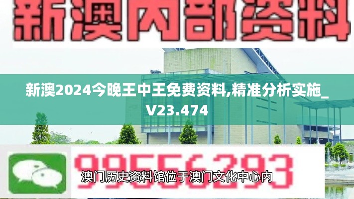 新澳2024今晚王中王免费资料,精准分析实施_V23.474