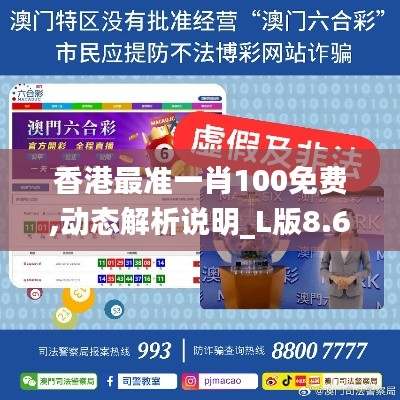 香港最准一肖100免费,动态解析说明_L版8.628