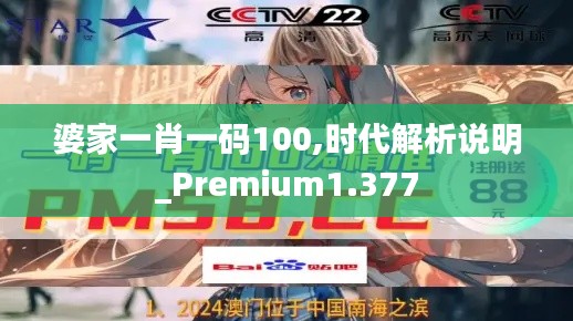 婆家一肖一码100,时代解析说明_Premium1.377