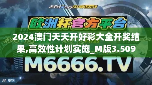 2024澳门天天开好彩大全开奖结果,高效性计划实施_M版3.509