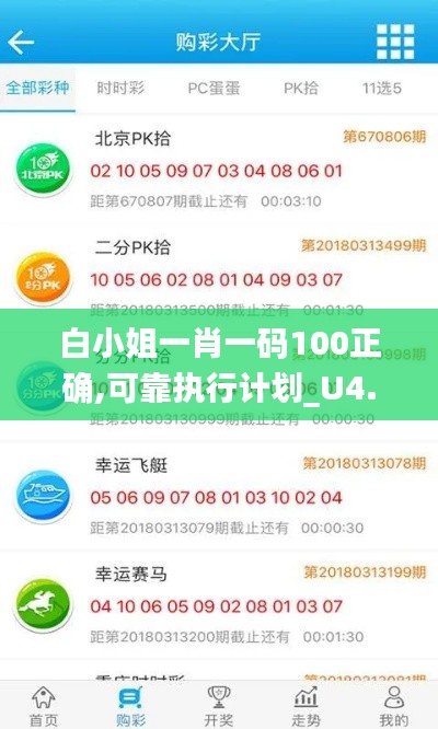 白小姐一肖一码100正确,可靠执行计划_U4.550