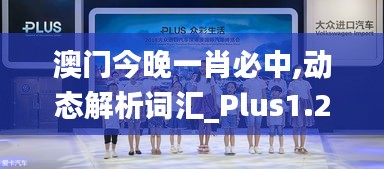 澳门今晚一肖必中,动态解析词汇_Plus1.214