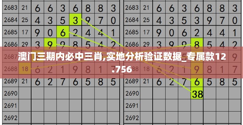 澳门三期内必中三肖,实地分析验证数据_专属款12.756