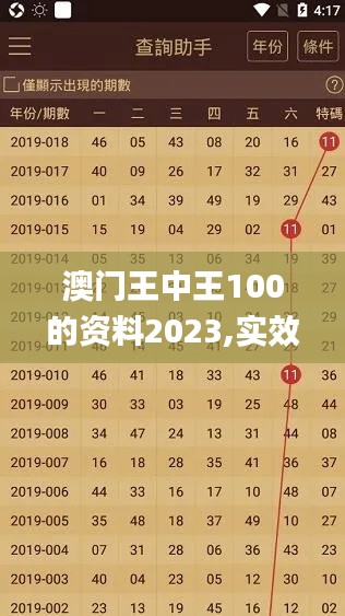 澳门王中王100的资料2023,实效性策略解读_WP版10.627