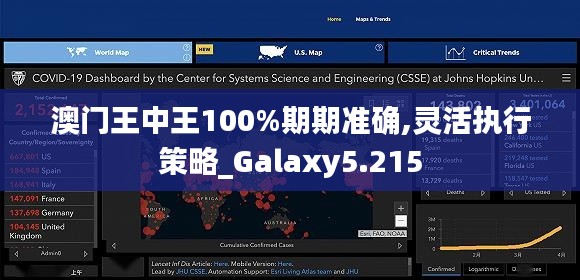 澳门王中王100%期期准确,灵活执行策略_Galaxy5.215