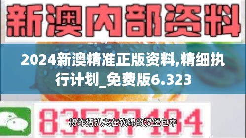 2024新澳精准正版资料,精细执行计划_免费版6.323