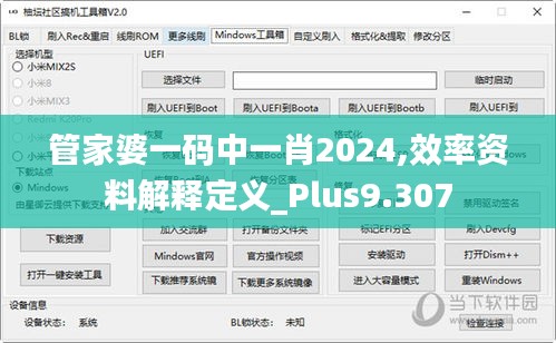 管家婆一码中一肖2024,效率资料解释定义_Plus9.307