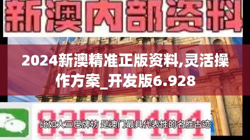 2024新澳精准正版资料,灵活操作方案_开发版6.928