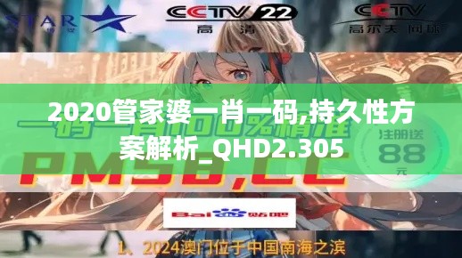 2020管家婆一肖一码,持久性方案解析_QHD2.305