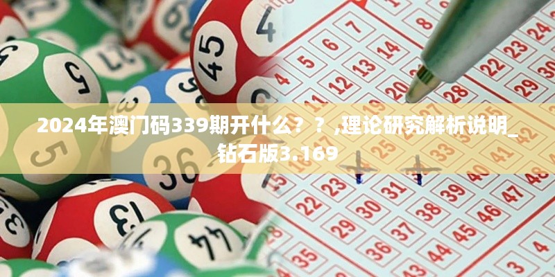 2024年澳门码339期开什么？？,理论研究解析说明_钻石版3.169