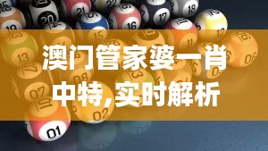 澳门管家婆一肖中特,实时解析数据_ios1.418