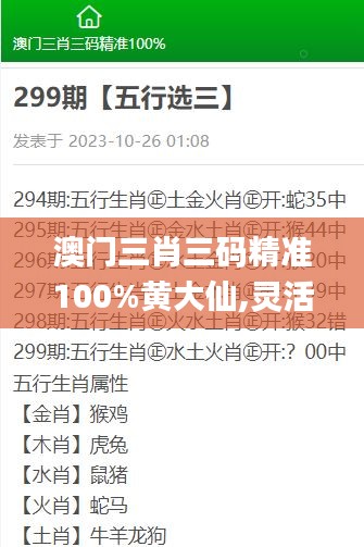 澳门三肖三码精准100%黄大仙,灵活解析执行_开发版18.853