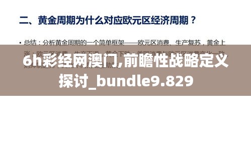 6h彩经网澳门,前瞻性战略定义探讨_bundle9.829