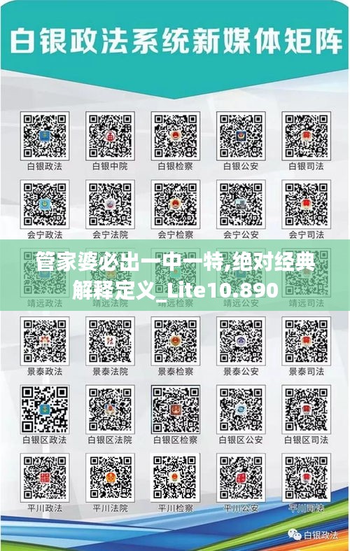 管家婆必出一中一特,绝对经典解释定义_Lite10.890