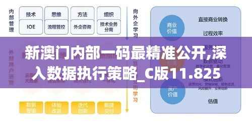 新澳门内部一码最精准公开,深入数据执行策略_C版11.825