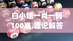 白小姐一肖一码100准,理论解答解释定义_WP7.138