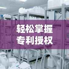 轻松掌握专利授权时间查询技巧