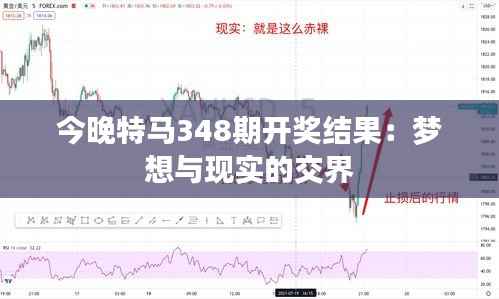 今晚特马348期开奖结果:梦想与现实的交界