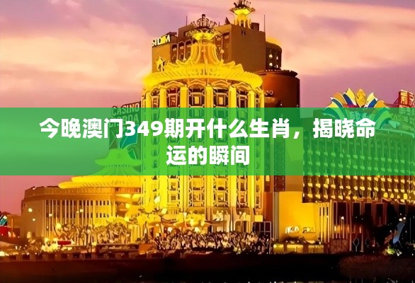 今晚澳门349期开什么生肖，揭晓命运的瞬间