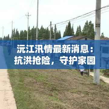 沅江汛情最新消息:抗洪抢险,守护家园