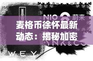 麦格币徐怀最新动态：揭秘加密货币界的风云变幻