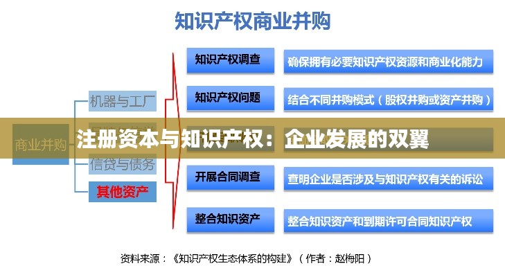 注册资本与知识产权:企业发展的双翼