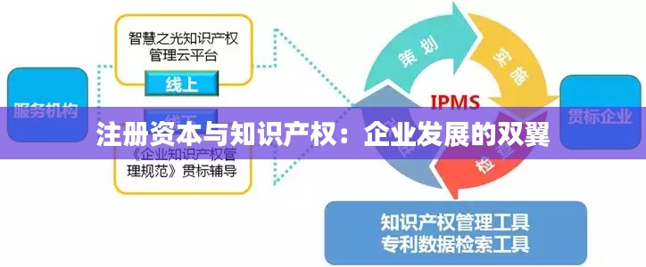 注册资本与知识产权:企业发展的双翼
