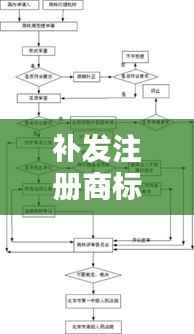补发注册商标流程及所需时间解析