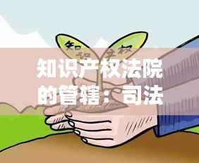 知识产权法院的管辖：司法保护的创新与挑战