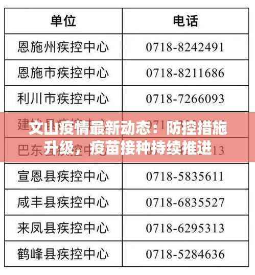 文山疫情最新动态：防控措施升级，疫苗接种持续推进